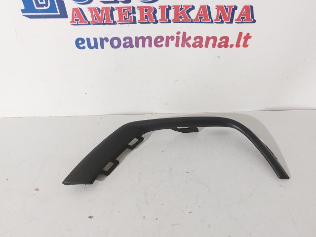 Bumper Trim (right)